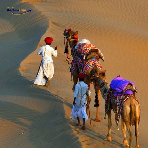 WhatsApp Image 2025-09-24 at 1.19.13 PM (1)